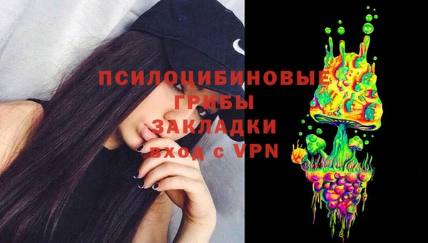 дмт Алексеевка