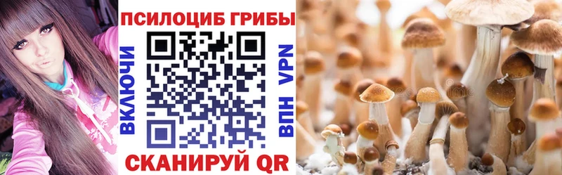 наркота Лысково Псилоцибиновые грибы мухоморы